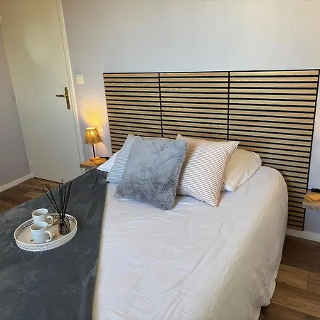 T2 Rénové Proche Thermes Avec Piscine Et Wifi - Fr-1-541-183 La Roche-Posay