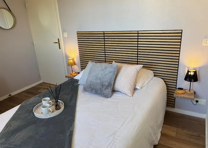 T2 Rénové Proche Thermes Avec Piscine Et Wifi - Fr-1-541-183 La Roche-Posay